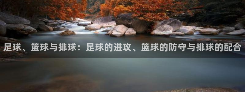 球王会体育