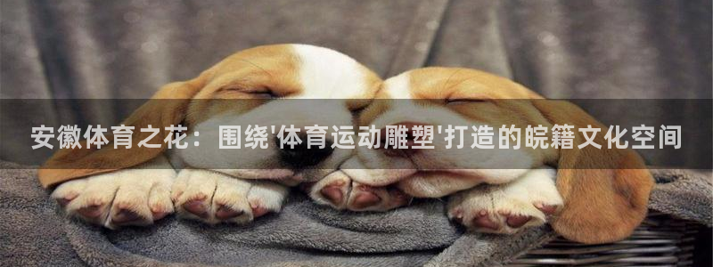 球王会体育