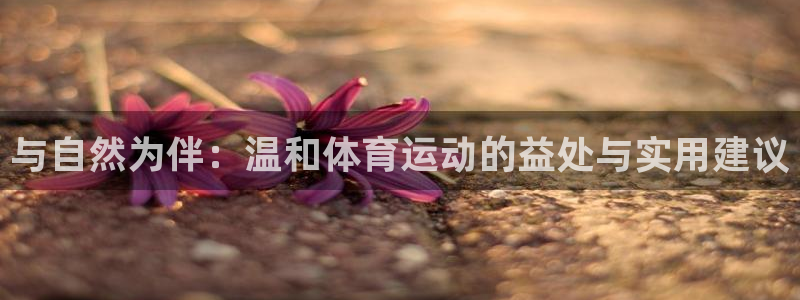 球王会体育：与自然为伴：温和体育运动的益处与实用建议