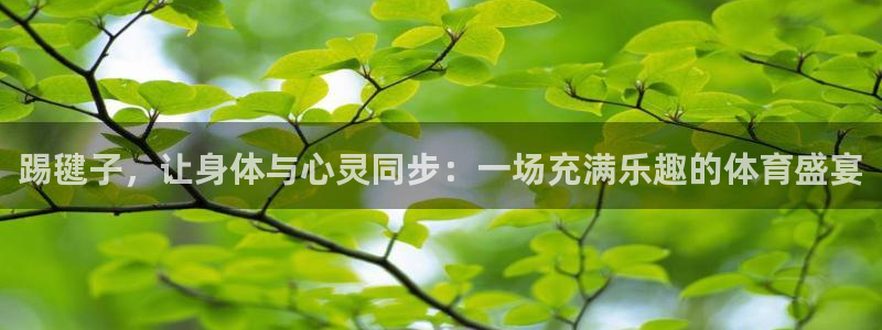 球王会体育