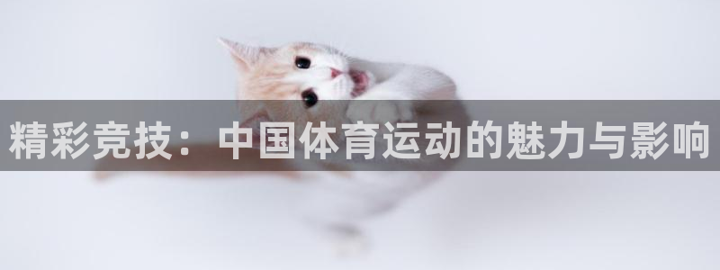 球王会体育：精彩竞技：中国体育运动的魅力与影响