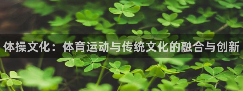 球王会体育：体操文化：体育运动与传统文化的融合与创新